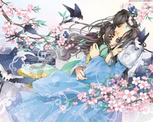 日本电影 海角上的兄妹